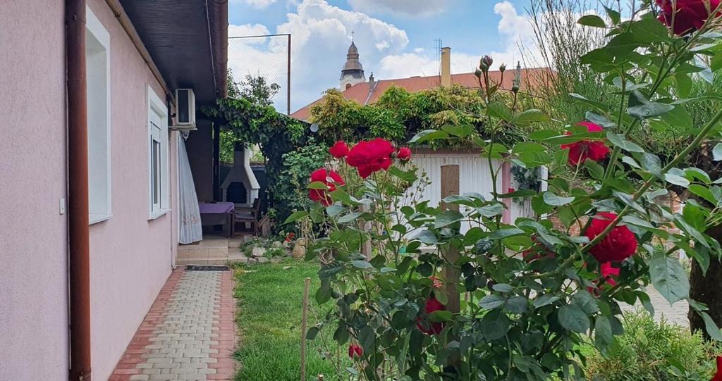 Apartman Ksenija Ðakovo Zewnętrze zdjęcie